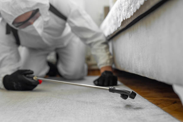 Professional Cockroach Control technician working in Timpson, TX